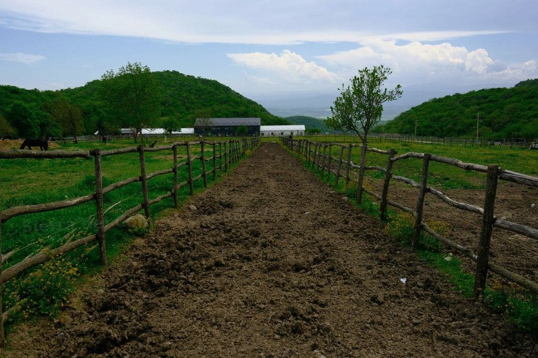 Sierra del Camino Ganadería 3